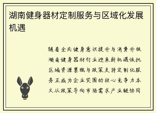 湖南健身器材定制服务与区域化发展机遇